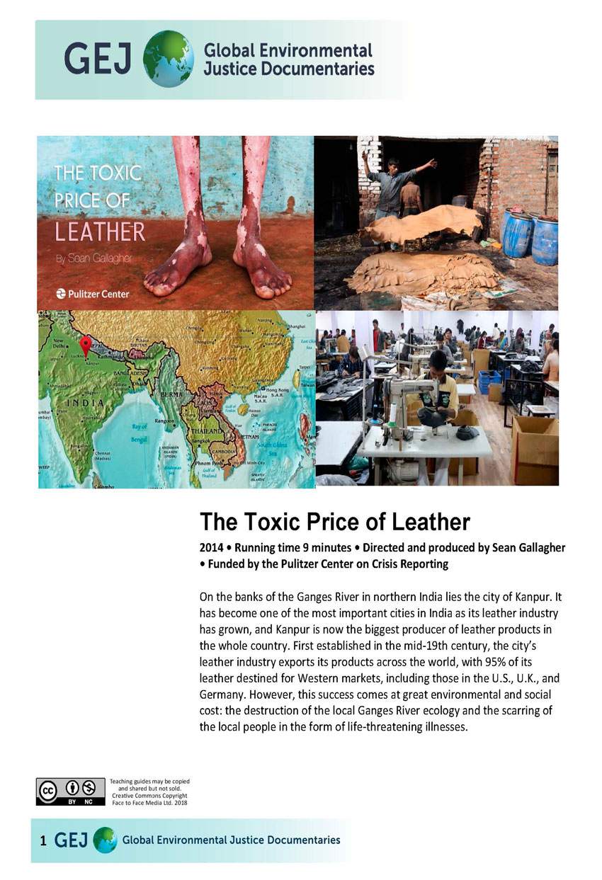 Toxic Price of Leather in India